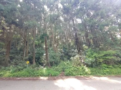 金剛山下山完了