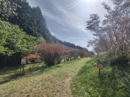 葛城高原自然つつじ園の入り口