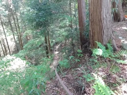 金剛山 トロッコのレール