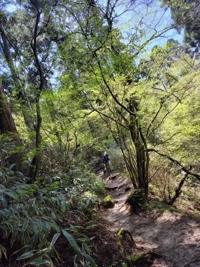 金剛山下山風景